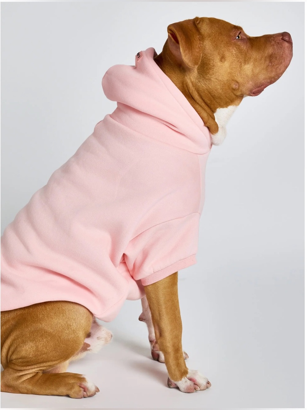 Comfrt Paw Hoodie